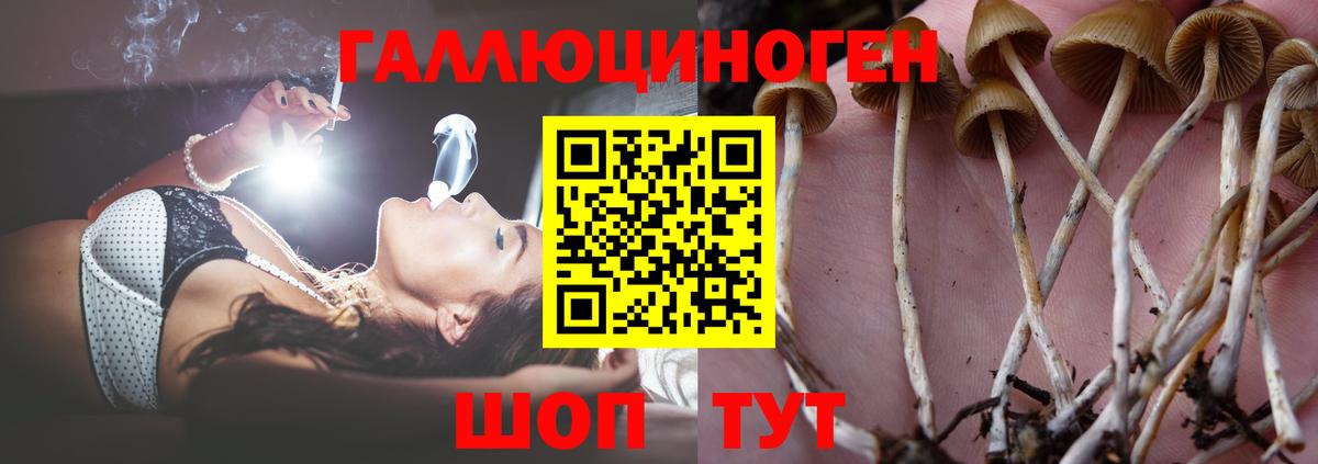 Галлюциногенные грибы Psilocybe  Галлюциногенные грибы Magic Shrooms  Вход с VPN  Удомля 