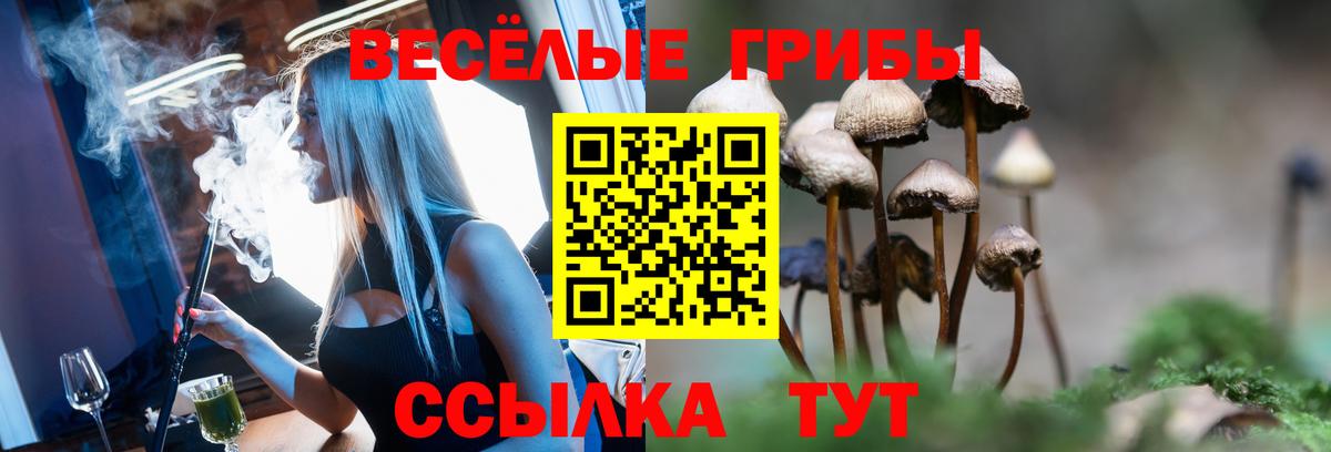 Псилоцибиновые грибы мицелий Удомля